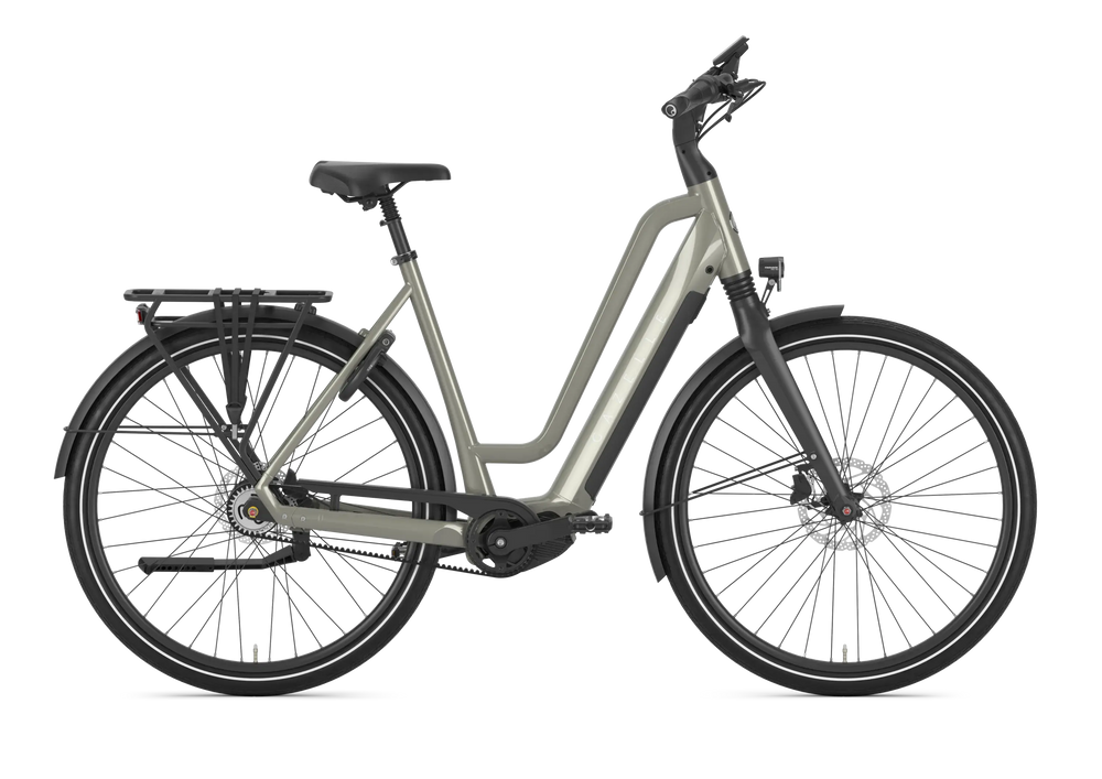 Gazelle Chamonix C5 Dame Clay Green - 2027