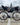 RENTAL - Touring Bikes