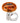 XLC Bell DD-M12 Orange transparent