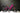 Secondhand - Taarnby Princess 24" Pige - Pink